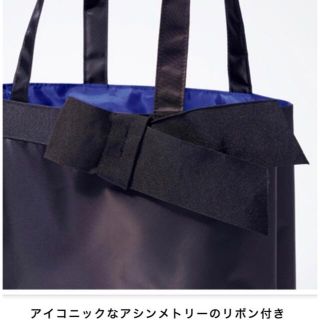 ランバンコレクション(LANVIN COLLECTION)のLANVIN COLLECTION 収納上手な上品サテントートバッグＧＬＯＷ付録(トートバッグ)