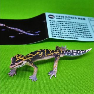 カイヨウドウ(海洋堂)のチョコQ　アニマルテイルズ　日本の動物シリーズ８　マダラトカゲモドキ　再生尾(その他)