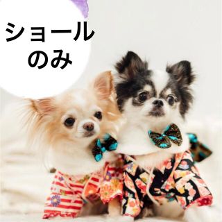 犬服　着物　赤椿　ラディカ　Mサイズ