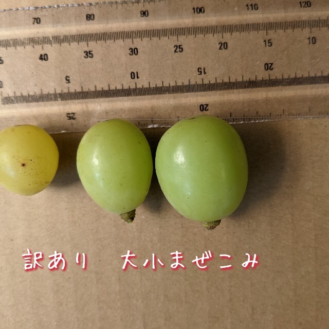 葡萄　訳あり　粒　房　シャインマスカット　3kg 食品/飲料/酒の食品(フルーツ)の商品写真