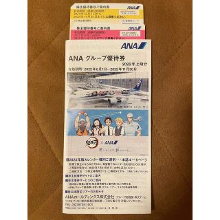 エーエヌエー(ゼンニッポンクウユ)(ANA(全日本空輸))のANA グループ優待券(その他)