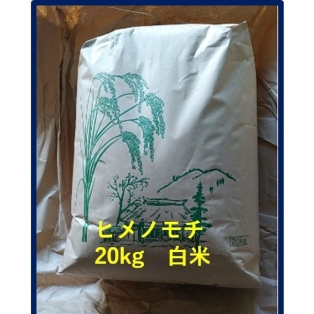 米/穀物　山形県産　もち米　ヒメノモチ20kg白米　令和４年産