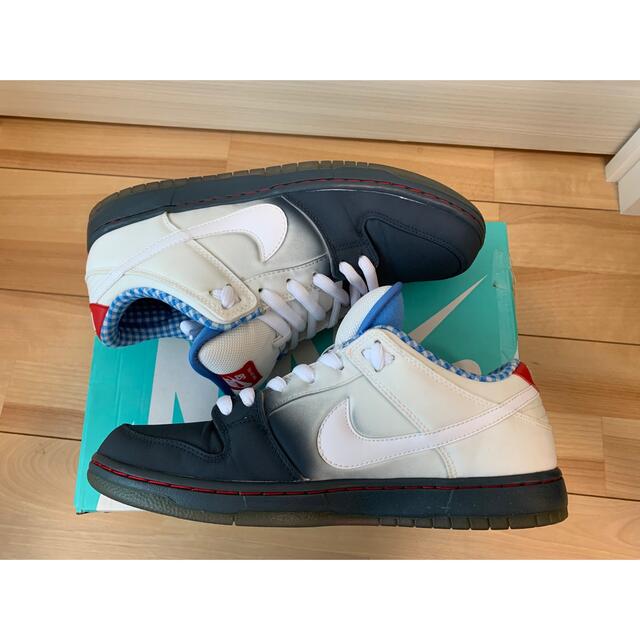 NIKE SB DUNK LOW Dorothy 28cm ナイキ ダンク - coastalcareeracademy.com