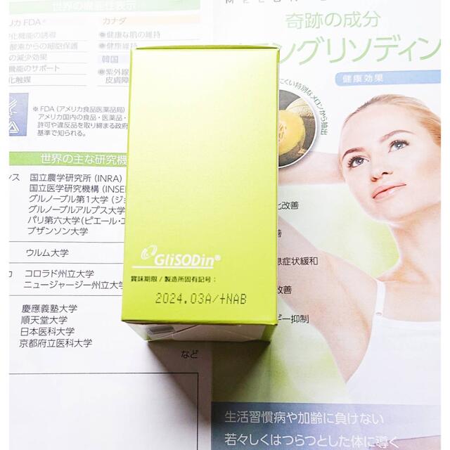 メロングリソディン メロングリソディンプロ 2箱 - www.husnususlu.com