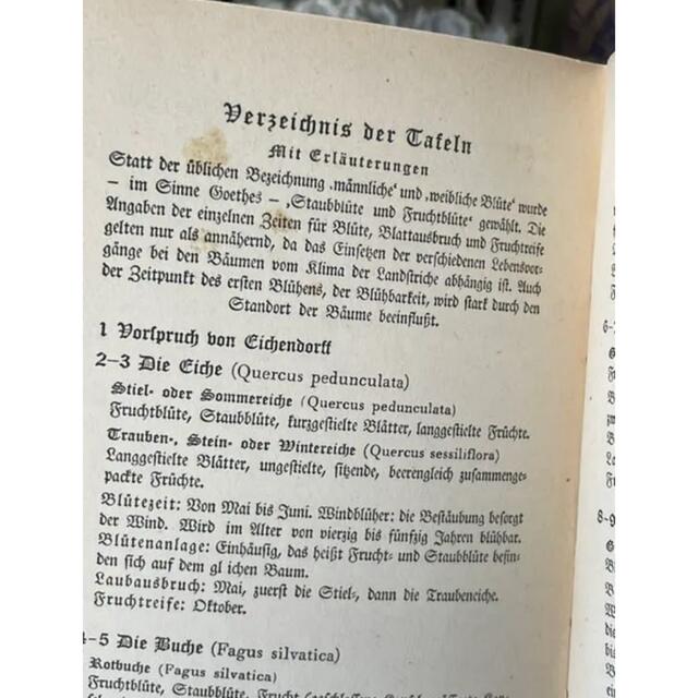 即納 インゼル文庫 No.314 洋書 古書 紙もの コラージュ 英字ペーパー ドイツ