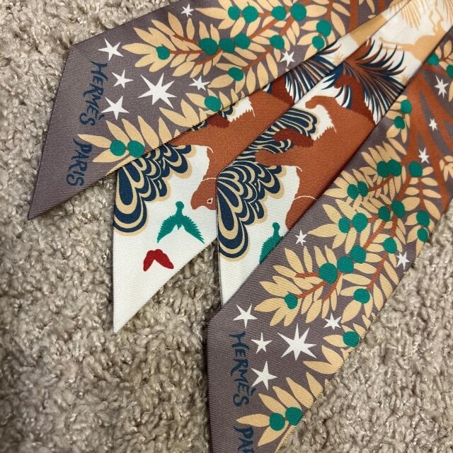 Hermes - 新品未使用 エルメス ツイリーオルフェウスの魅力に誘われて