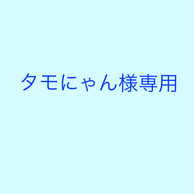 阪神タイガース(ハンシンタイガース)の【タモにゃん様専用】阪神タイガース グッズ 6点 スポーツ/アウトドアの野球(記念品/関連グッズ)の商品写真