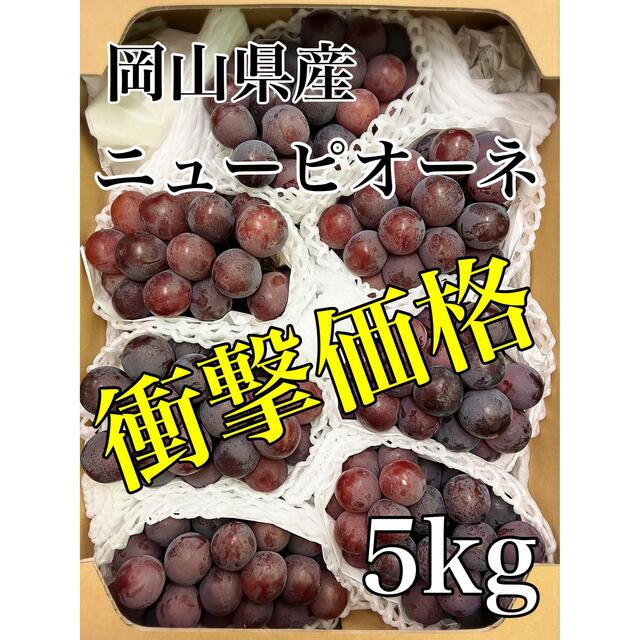 残り僅か！衝撃価格！！岡山県産【ニューピオーネ】6〜7房 約5kg