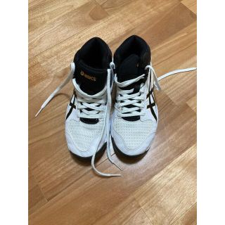 アシックス(asics)のasics バスケットシューズ(バスケットボール)