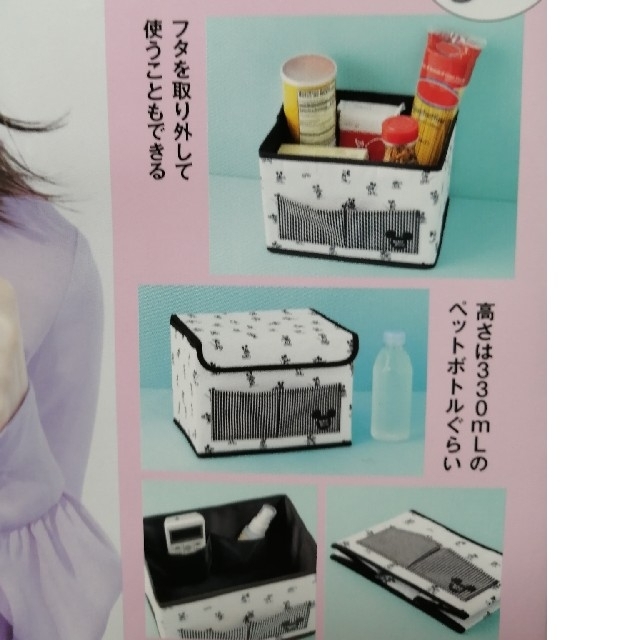 宝島社(タカラジマシャ)のミッキーマウスデザイン収納ボックス インテリア/住まい/日用品の収納家具(ケース/ボックス)の商品写真