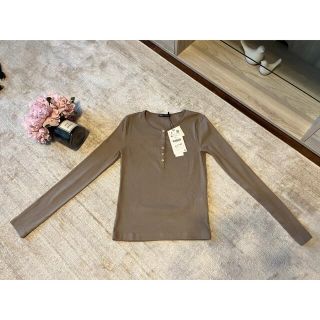 ザラ(ZARA)のZARAブラウンリブトップス（新品）(カットソー(長袖/七分))