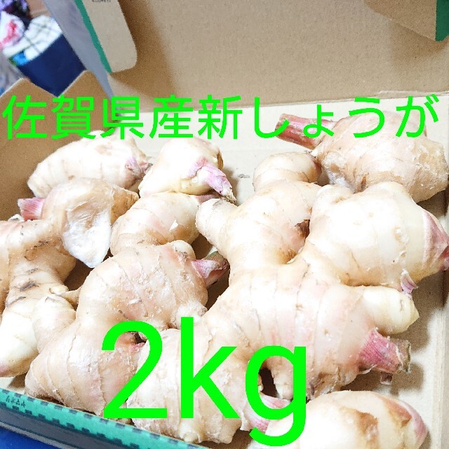 【ご予約】新生姜　箱込み　2キロ弱