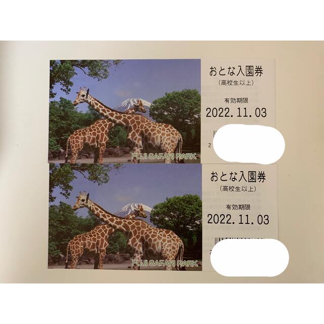 富士サファリパーク　チケット　動物園　zoo チケットの施設利用券(動物園)の商品写真