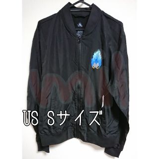 希少!Disney ディズニー men's ベンチコート マジックキングダム M