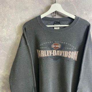 ハーレーダビッドソン(Harley Davidson)のハーレーダビットソン 90s スウェット 黒 ブラック 袖プリント 炎(スウェット)