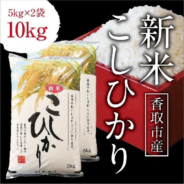 米/穀物　新米　令和4年度　千葉県産　コシヒカリ精米20kg