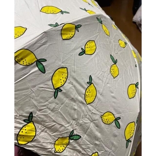 折り畳み傘　レモン柄(傘)