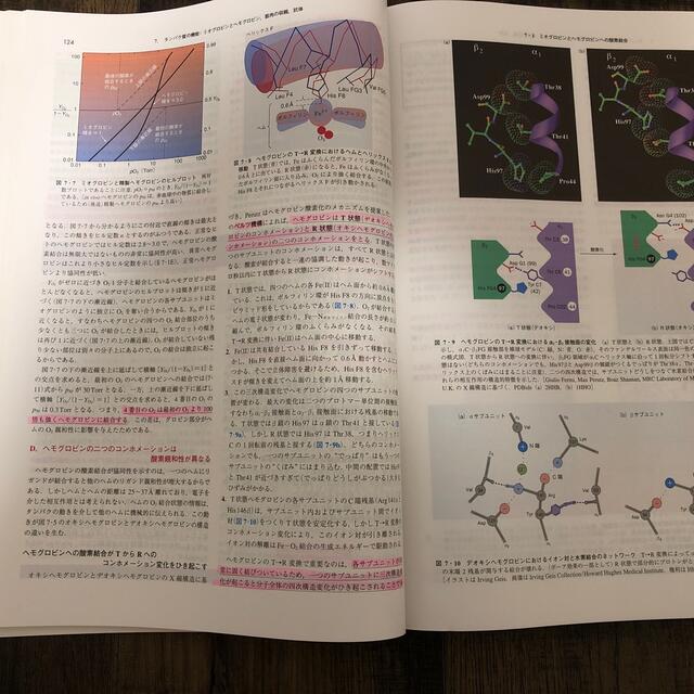 ヴォート基礎生化学 第5版の通販 by まる's shop|ラクマ ヴォート基礎生化学 第5版の通販 by まる's shop|ラクマ