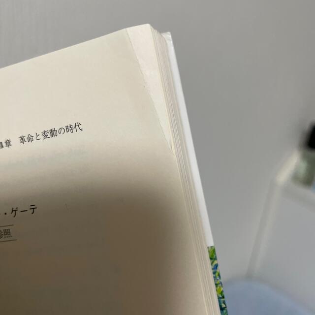 はじめて学ぶドイツ文学史 エンタメ/ホビーの本(文学/小説)の商品写真