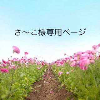 多肉植物☆葉挿しセット☆③❤おらいさん苗2種類、優木園さん苗入り❤20種類(その他)