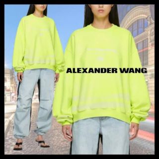 アレキサンダーワン(Alexander Wang)のアレキサンダーワン　xs スウェット　美品(スウェット)