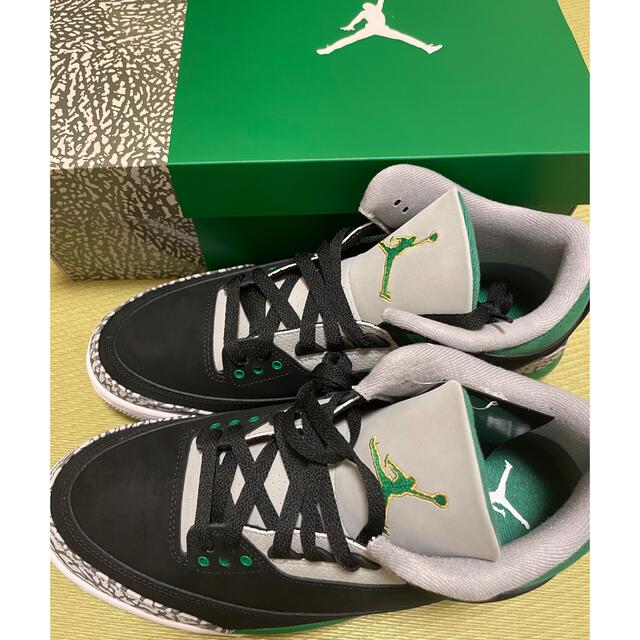 【値下げ】Nike Air Jordan 3 Pine Green