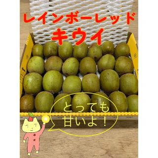 和歌山県産レインボーレッドキウイ☆小玉サイズ☆正味1kg《未完熟品》(フルーツ)