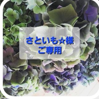 さといも様ご専用♡秋色紫陽花ドライフラワー(ドライフラワー)