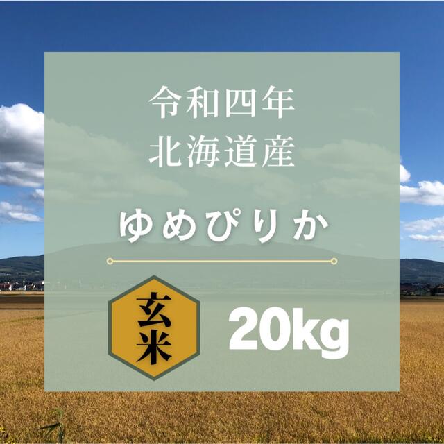 令和4年産新米　》北海道産ゆめぴりか　20kg　米/穀物