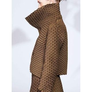 イッセイミヤケ(ISSEY MIYAKE)の超美品　ISSEY MIYAKE　イッセイミヤケ　3D　スチーム　スカート(ひざ丈スカート)