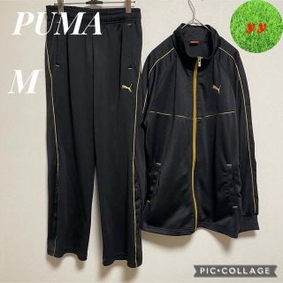 【美品】ゴールド　PUMA プーマ ジャージ上下　セットアップ