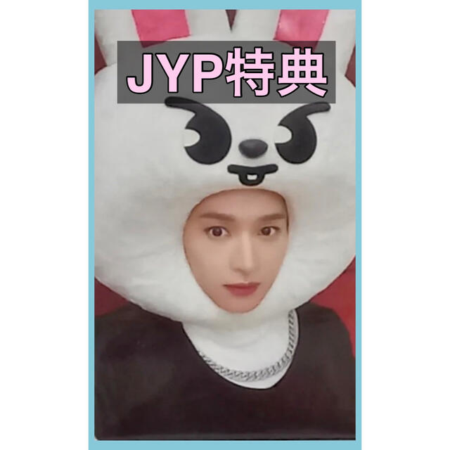 大人気新作 MAXIDENT straykids トレカ8枚セット skzoo JYP特典 K-POP