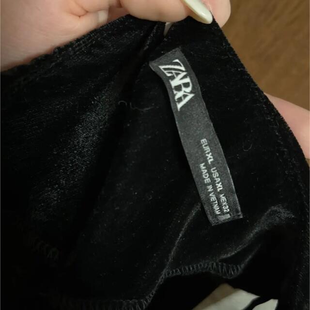 ZARA(ザラ)のZARA ベロアオーガンジートップス レディースのトップス(カットソー(長袖/七分))の商品写真