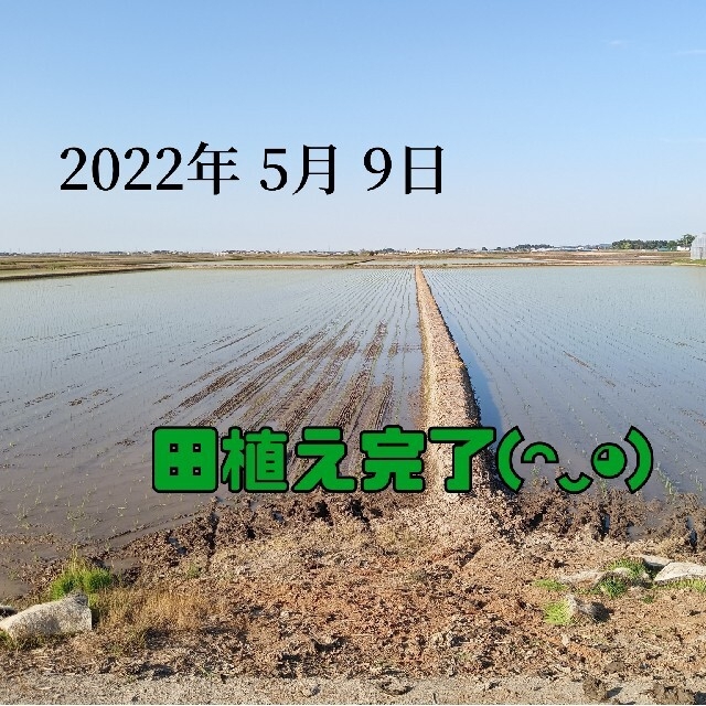 無農薬米新潟県産コシヒカリ15k 2