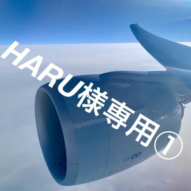 HARU様専用セット 安い www.phonesoap.babybrezza.is