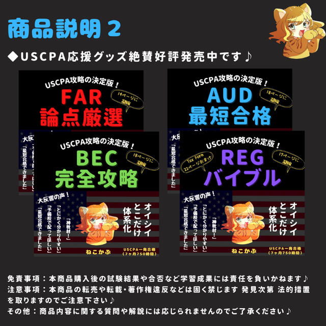 2020年試験用⭐️Ver3 USCPA AUD DVD教材一式　米国公認会計士