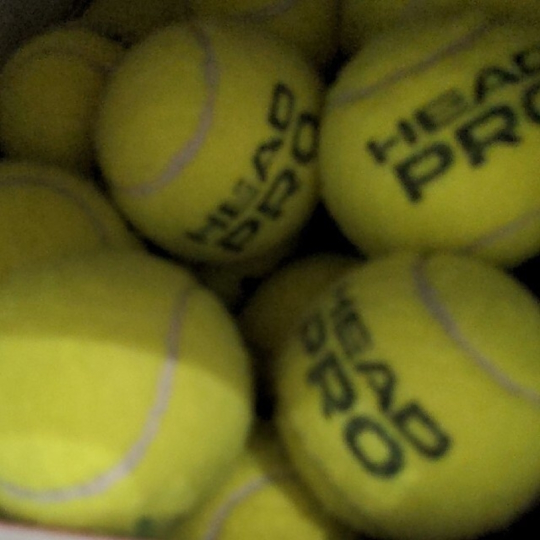 テニスボール　12個 スポーツ/アウトドアのテニス(ボール)の商品写真