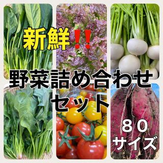 兵庫県産　採れたて旬のお野菜セット(野菜)