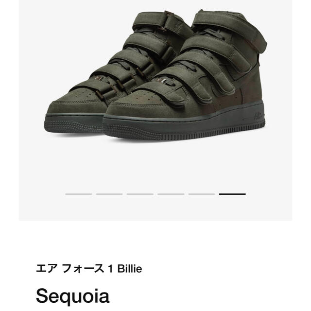 NIKE AIR FORCE 1 HIGH '07 SP SEQUOIA