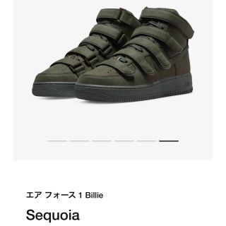 ナイキ(NIKE)のNIKE AIR FORCE 1 HIGH '07 SP SEQUOIA (スニーカー)