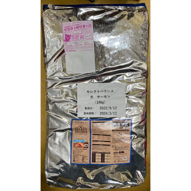 セレクトバランス グレインフリーサーモン成犬用10kg | www.kzmr-zdk.ba