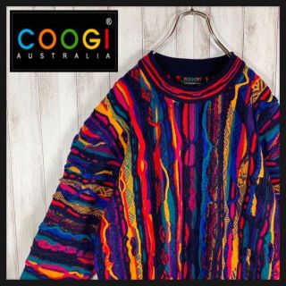 【幻の1点モノ】coogi クージー 立体 編込み 3Dニット 即完売モデル(ニット/セーター)