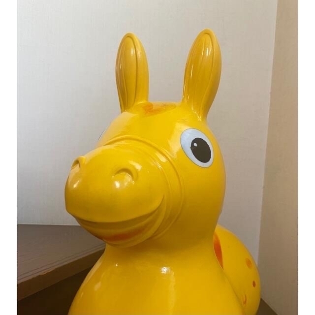 Rody(ロディ)のRody    ロディ　　 キッズ/ベビー/マタニティのおもちゃ(知育玩具)の商品写真