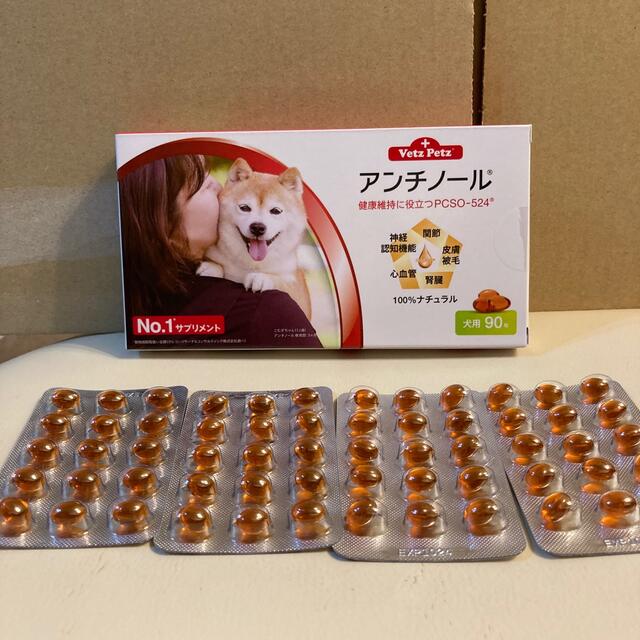 犬用　アンチノール 150粒　＋14粒おまけ その他のペット用品(ペットフード)の商品写真