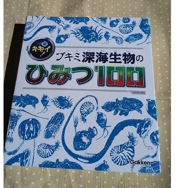 超キモイ！　ブキミ深海生物のひみつ１００ エンタメ/ホビーの本(絵本/児童書)の商品写真