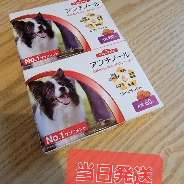 全国無料格安 犬用アンチノール 60粒 2箱の通販 by Erika's shop
