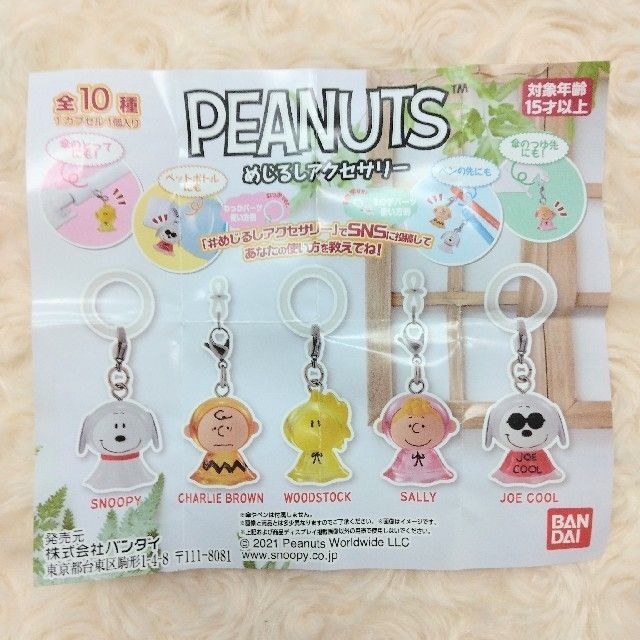 PEANUTS(ピーナッツ)のPEANUTS　スヌーピー めじるしアクセサリー 全10種 フルコンプ エンタメ/ホビーのアニメグッズ(キーホルダー)の商品写真