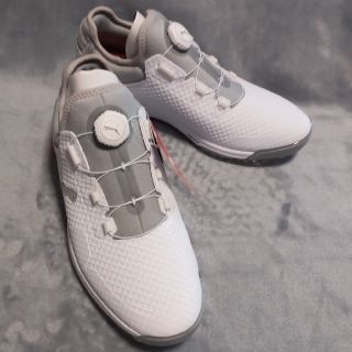 PUMA - 送料込☆25.5cmゴルフシューズ PUMA Spark Sport 2 XWの通販 by