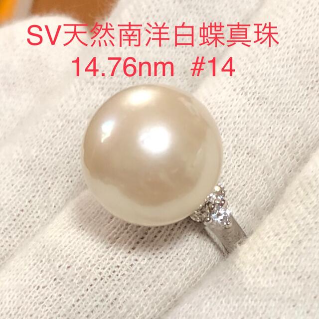 SV天然南洋白蝶真珠リング　14.61mm #13