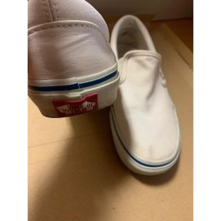 ヴァンズ(VANS)のvans ヴァンズ キャンバススニーカー 白 23.5(スニーカー)